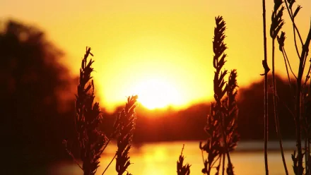 wilderness scenery nature sunset HD Desktop Wallpaper | Background Image