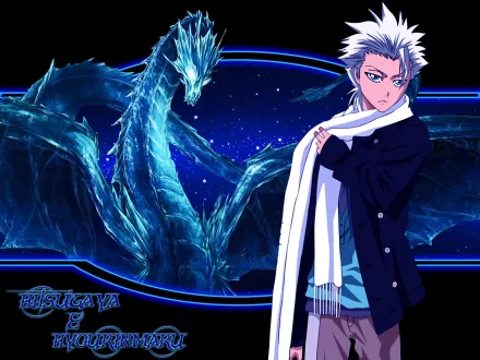 Tōshirō Hitsugaya Anime Bleach HD Desktop Wallpaper | Background Image
