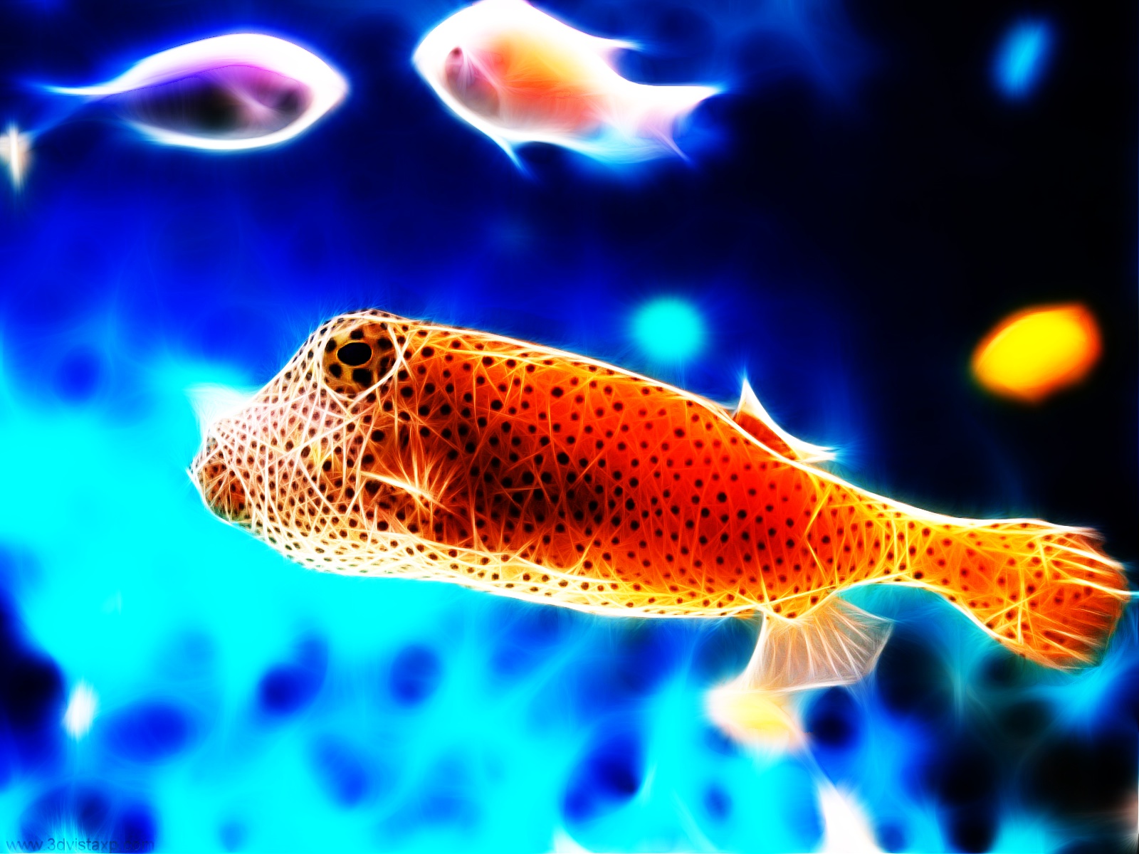 Tiere Fisch HD Wallpaper | Hintergrund