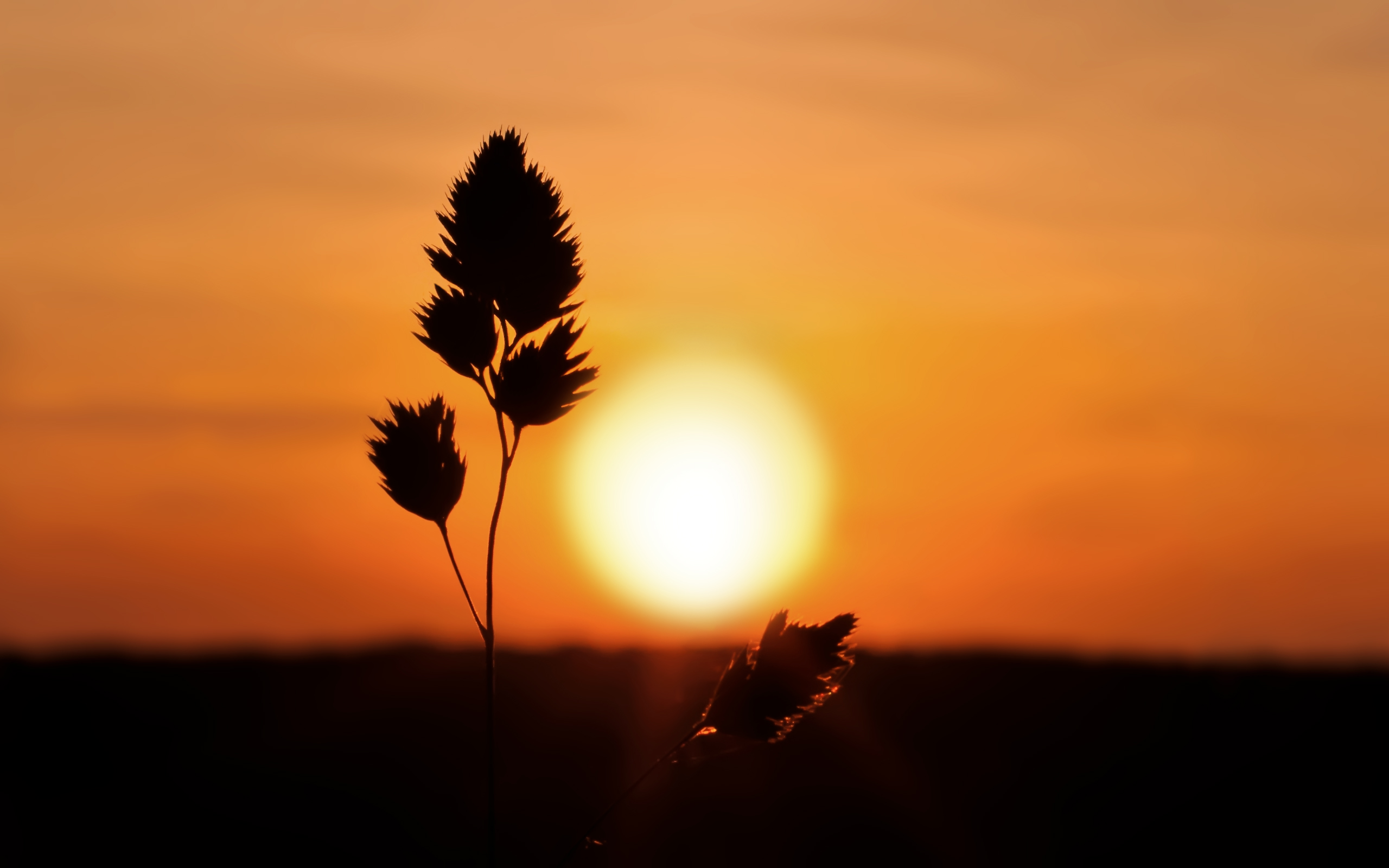 Sunset HD Wallpaper Sunset HD Wallpaper