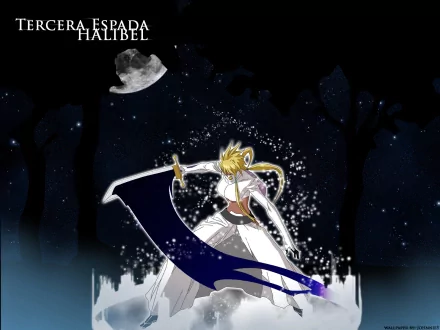 Tier Halibel Anime Bleach HD Desktop Wallpaper | Background Image