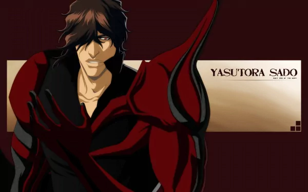Yasutora Sado Anime Bleach HD Desktop Wallpaper | Background Image