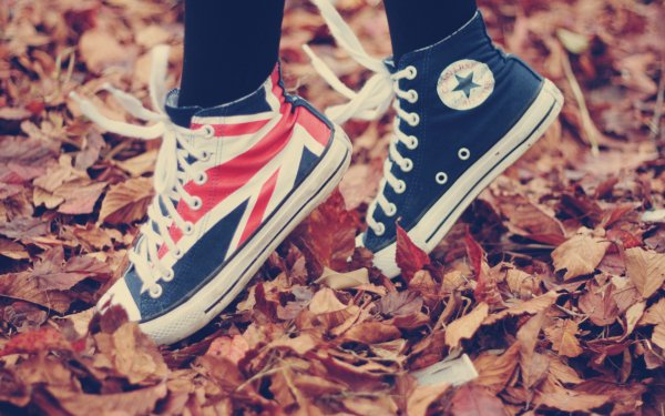 Products Converse Shoe Sneakers HD Wallpaper | Background Image