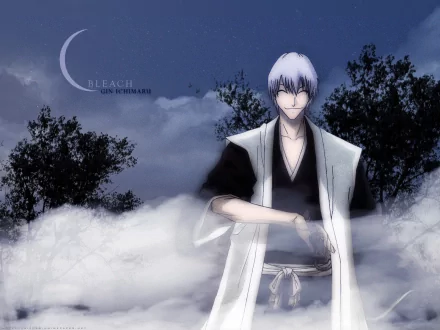 Gin Ichimaru from Bleach standing in mist before moonlit trees — anime HD PC desktop wallpaper background.