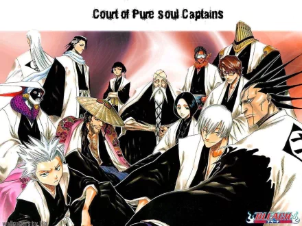 Tōshirō Hitsugaya Kenpachi Zaraki Gin Ichimaru Sajin Komamura Kaname Tosen Unohana Retsu Genryūsai Shigekuni Yamamoto Soifon (Bleach) Shunsui Kyōraku Jūshirō Ukitake Byakuya Kuchiki Mayuri Kurotsuchi Anime Bleach HD Desktop Wallpaper | Background Image