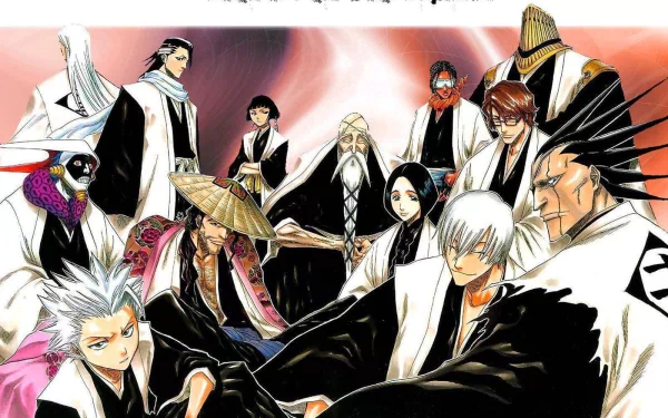 Tōshirō Hitsugaya Kenpachi Zaraki Gin Ichimaru Sajin Komamura Kaname Tosen Unohana Retsu Genryūsai Shigekuni Yamamoto Soifon (Bleach) Shunsui Kyōraku Jūshirō Ukitake Byakuya Kuchiki Mayuri Kurotsuchi Anime Bleach HD Desktop Wallpaper | Background Image