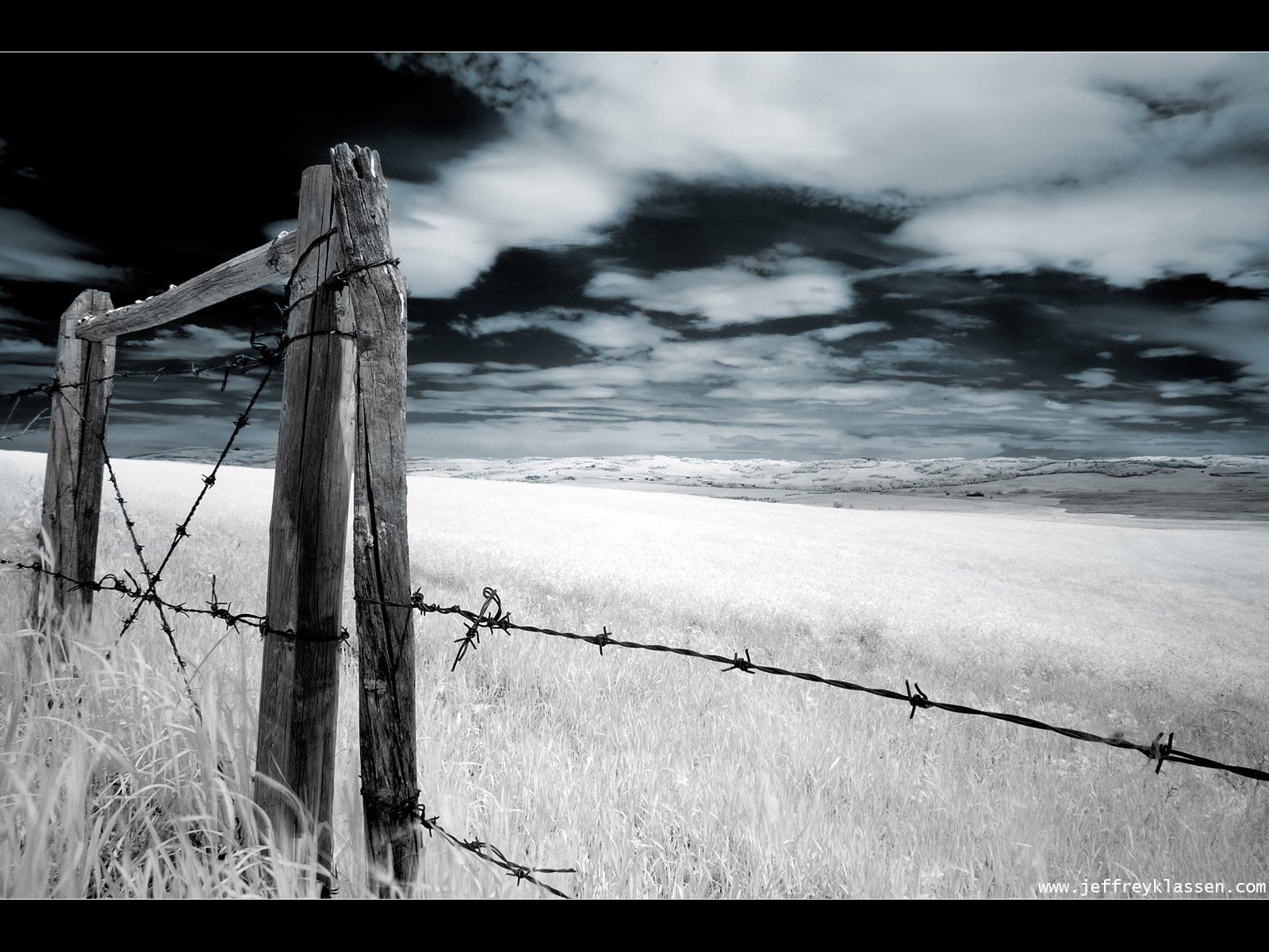 Fence Wallpaper and Background Image | 1600x1200 | ID ...