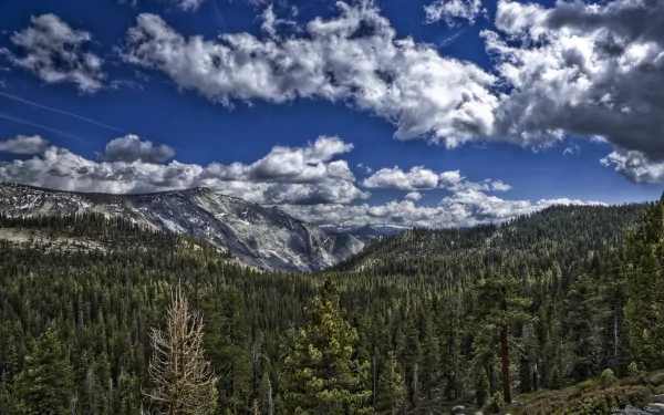 HD desktop wallpaper of a mountainous landscape covered in dense forests under a vibrant blue sky with scattered clouds.