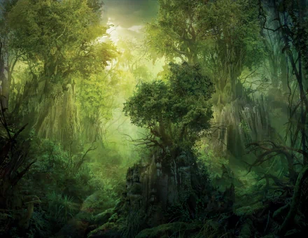 HD desktop wallpaper depicting a lush, fantasy forest from Magic: The Gathering. The man-made scene features towering trees and dense foliage, evoking a sense of enchantment and wonder.