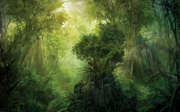 Man Made Magic: The Gathering Fantasy Forest Tree HD Wallpaper | Background Image