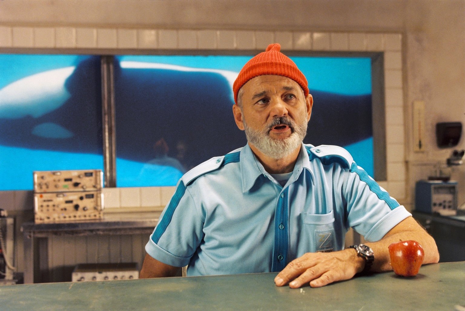 Download Bill Murray Movie The Life Aquatic With Steve Zissou Wallpaper