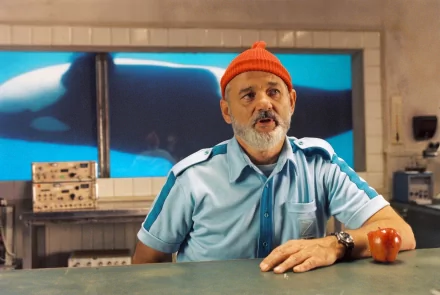 Bill Murray movie The Life Aquatic with Steve Zissou HD Desktop Wallpaper | Background Image