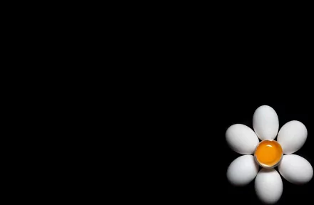 HD desktop wallpaper featuring a black background with white eggs arranged in a circle, resembling a flower, with an egg yolk in the center.