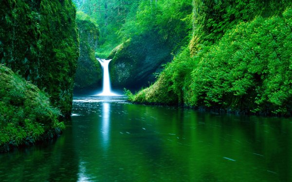 Nature Waterfall Waterfalls Water Greenery HD Wallpaper | Background Image