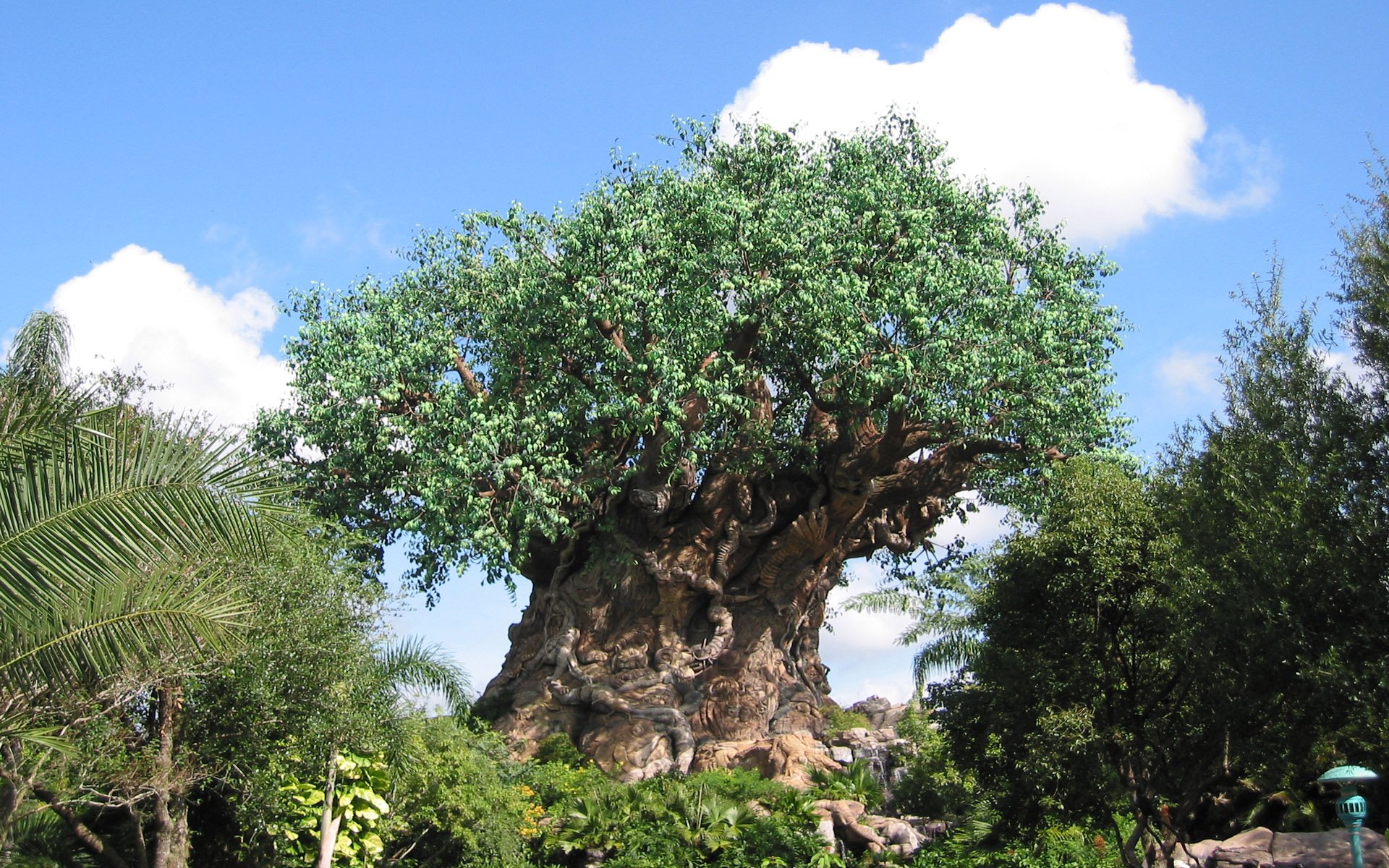 HD desktop wallpaper of the man-made Tree of Life at Walt Disney World, surrounded by lush greenery under a bright blue sky with scattered clouds.