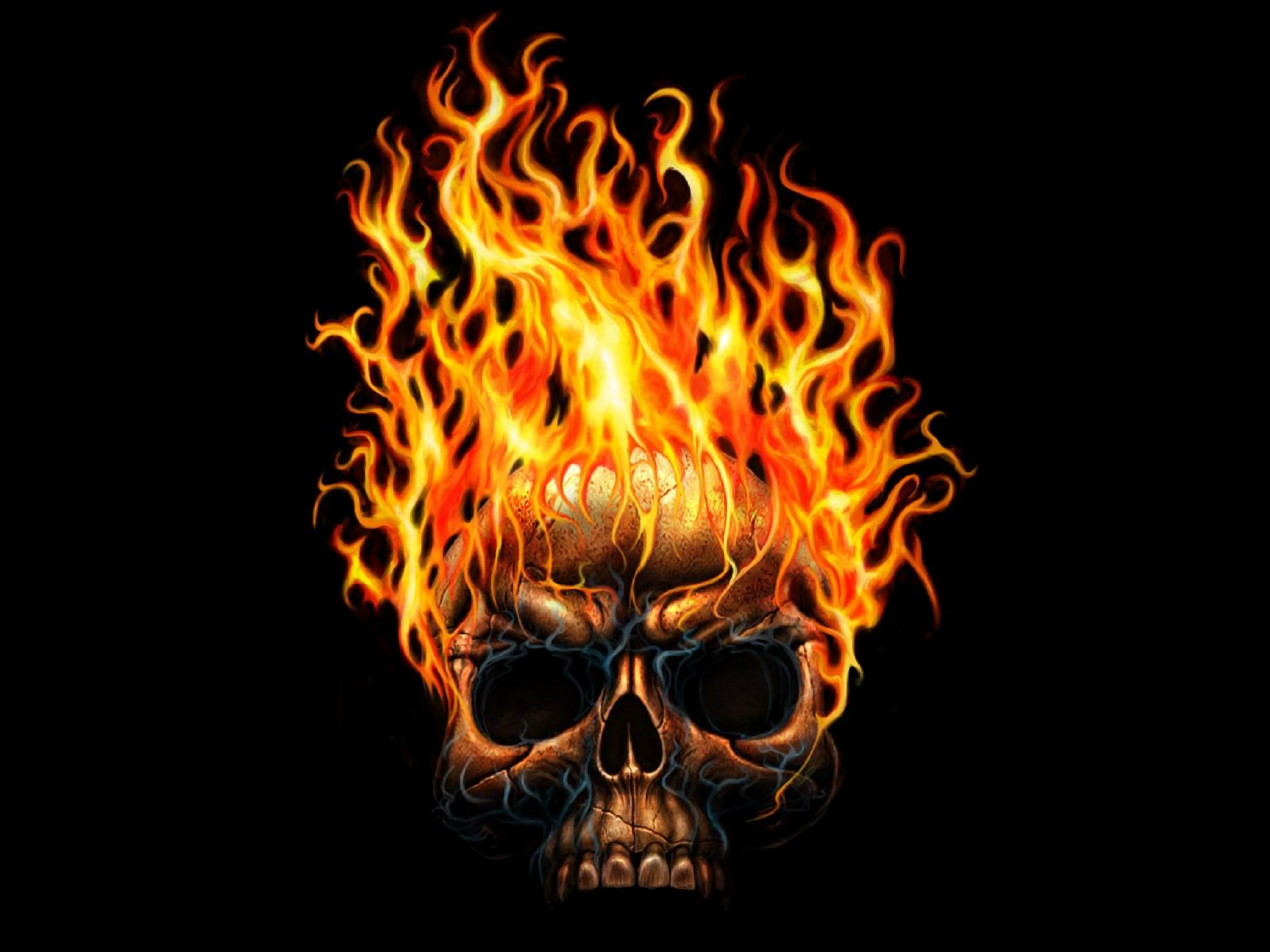 3d Skull Wallpaper Free Download