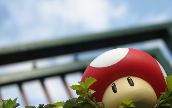 Hecho por el hombre Juguete Champiñón Super Mario Bros. Fondo de pantalla HD | Fondo de Escritorio