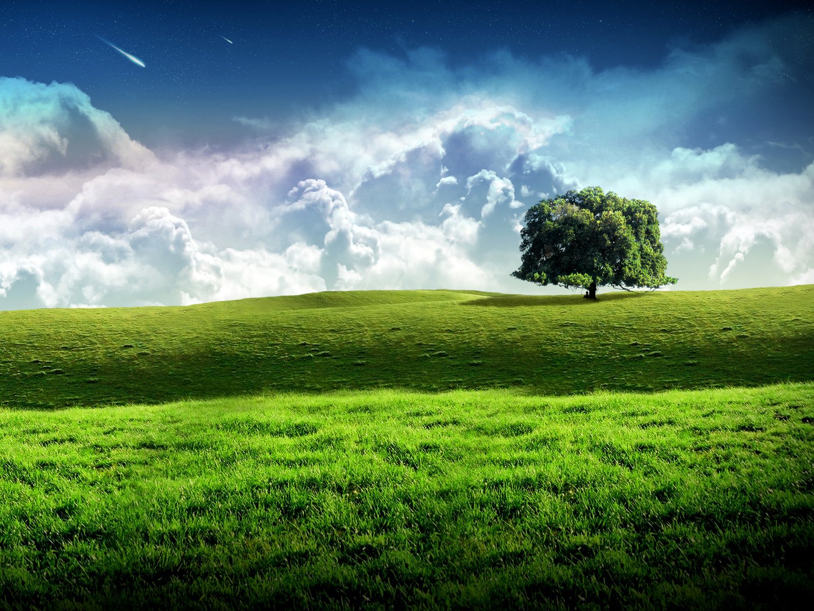 HD PC desktop wallpaper featuring a lone tree on a vibrant green hill under a dramatic cloudy sky, capturing the beauty of nature.