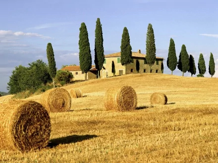 A serene field with golden hay bales and cypress trees surrounds a charming rustic house, capturing the essence of nature in this HD desktop wallpaper.
