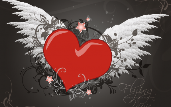 Artistic Love Heart Wings HD Wallpaper | Background Image