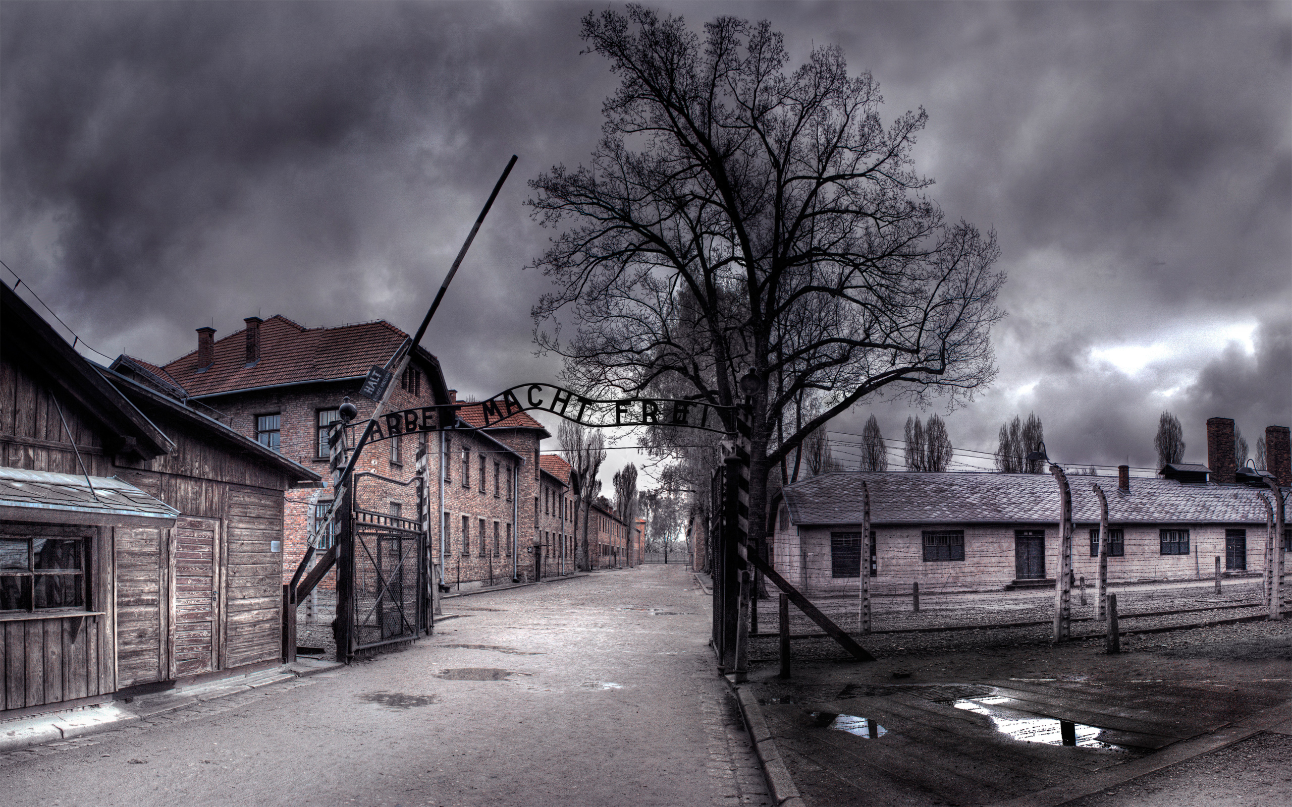 A somber view of Auschwitz, a concentration camp.