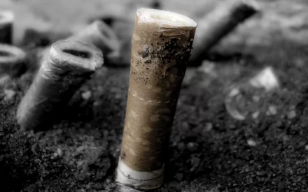 Close-up photography of a cigarette standing in dirt, surrounded by discarded butts. This striking image serves as an impactful HD desktop wallpaper and background.