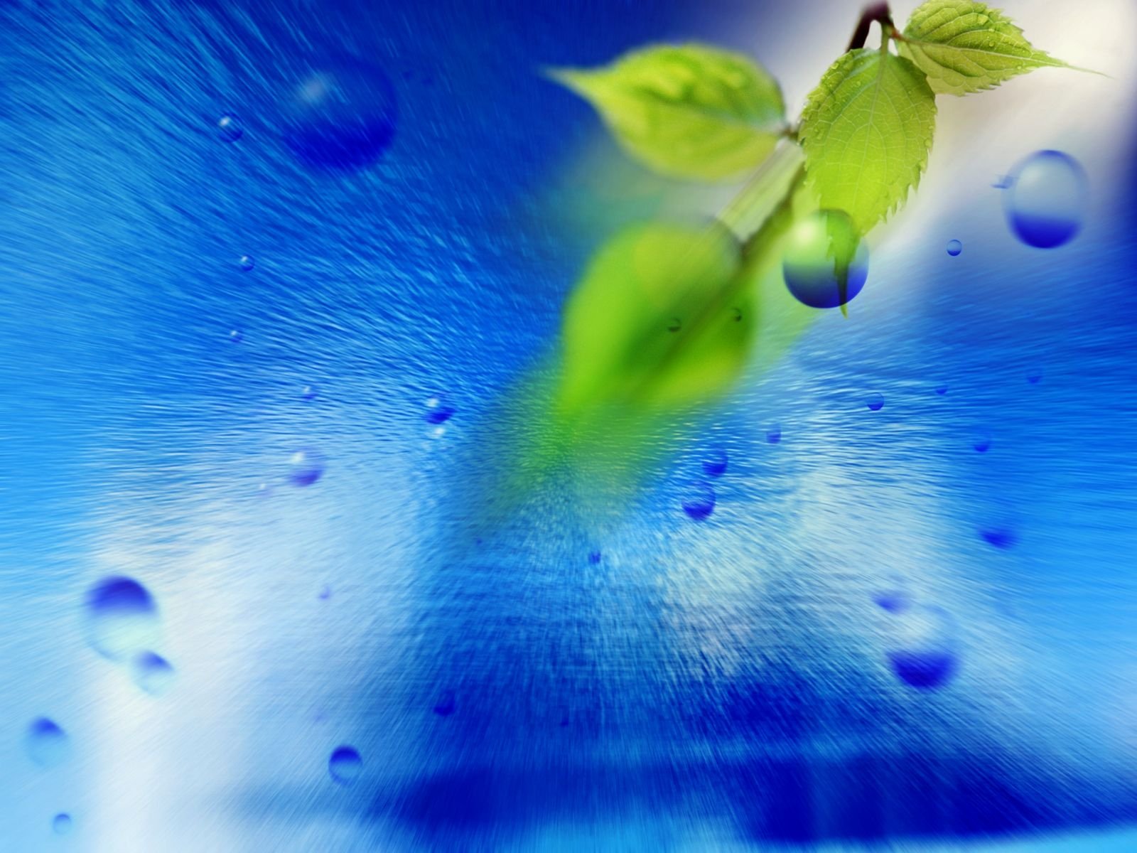 Close-up of vibrant green leaves against a softly blurred blue background featuring water droplets, creating a refreshing nature-inspired HD desktop wallpaper.