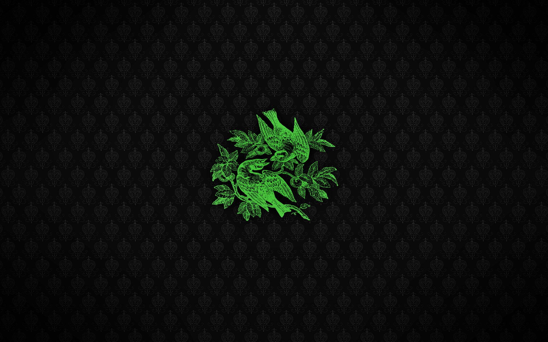 A striking HD desktop wallpaper featuring a vibrant green bird pattern surrounded by dark, textured backgrounds, showcasing an artistic blend of nature and design.