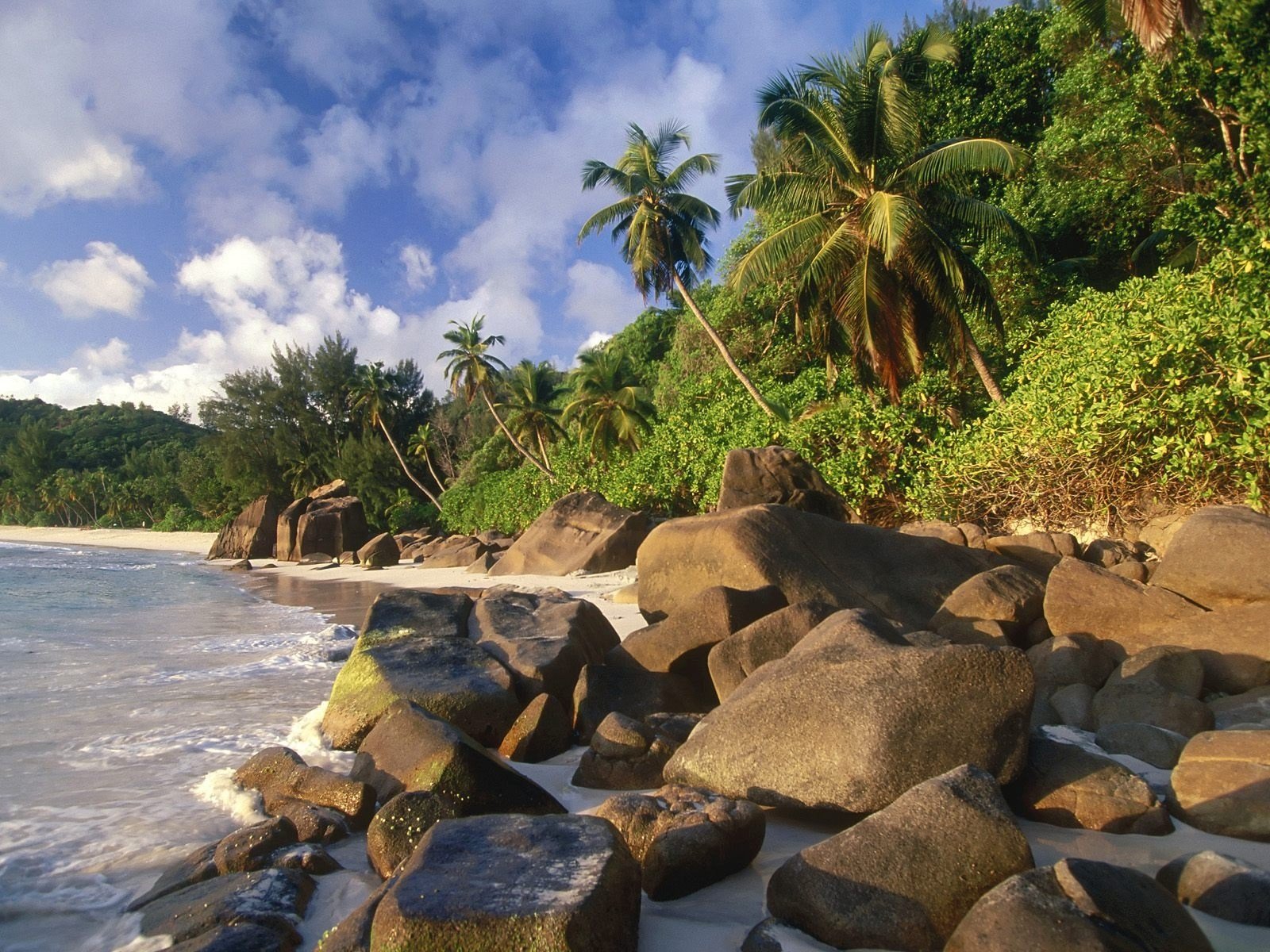A scenic beach with lush greenery, rocky shoreline, and clear blue sky, captured in high definition. Suitable as a desktop wallpaper and background for nature enthusiasts.