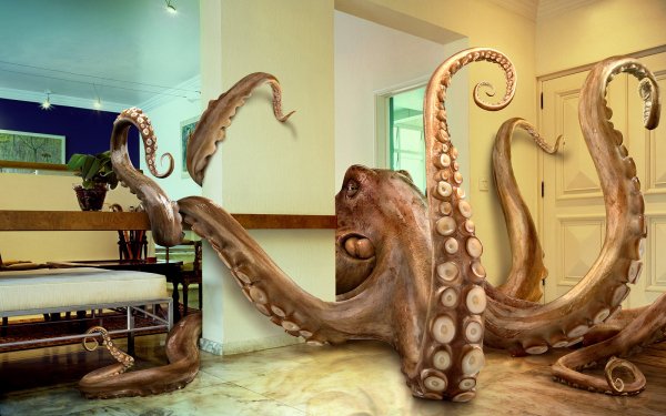 Fantasy Sea Monster Octopus HD Wallpaper | Background Image