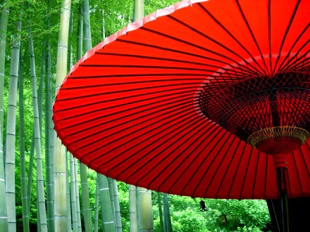 A vibrant red oriental umbrella stands out against a serene bamboo forest background, captured in an HD photography wallpaper.
