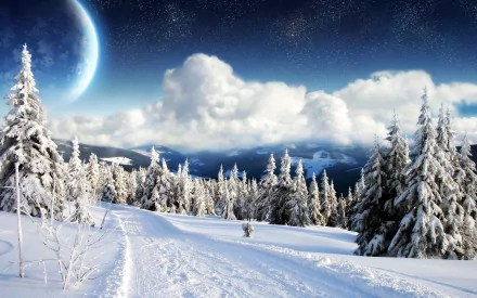 A serene winter landscape featuring snow-covered trees and a winding path, set against a dreamy celestial backdrop. This HD image creates a tranquil nature wallpaper.
