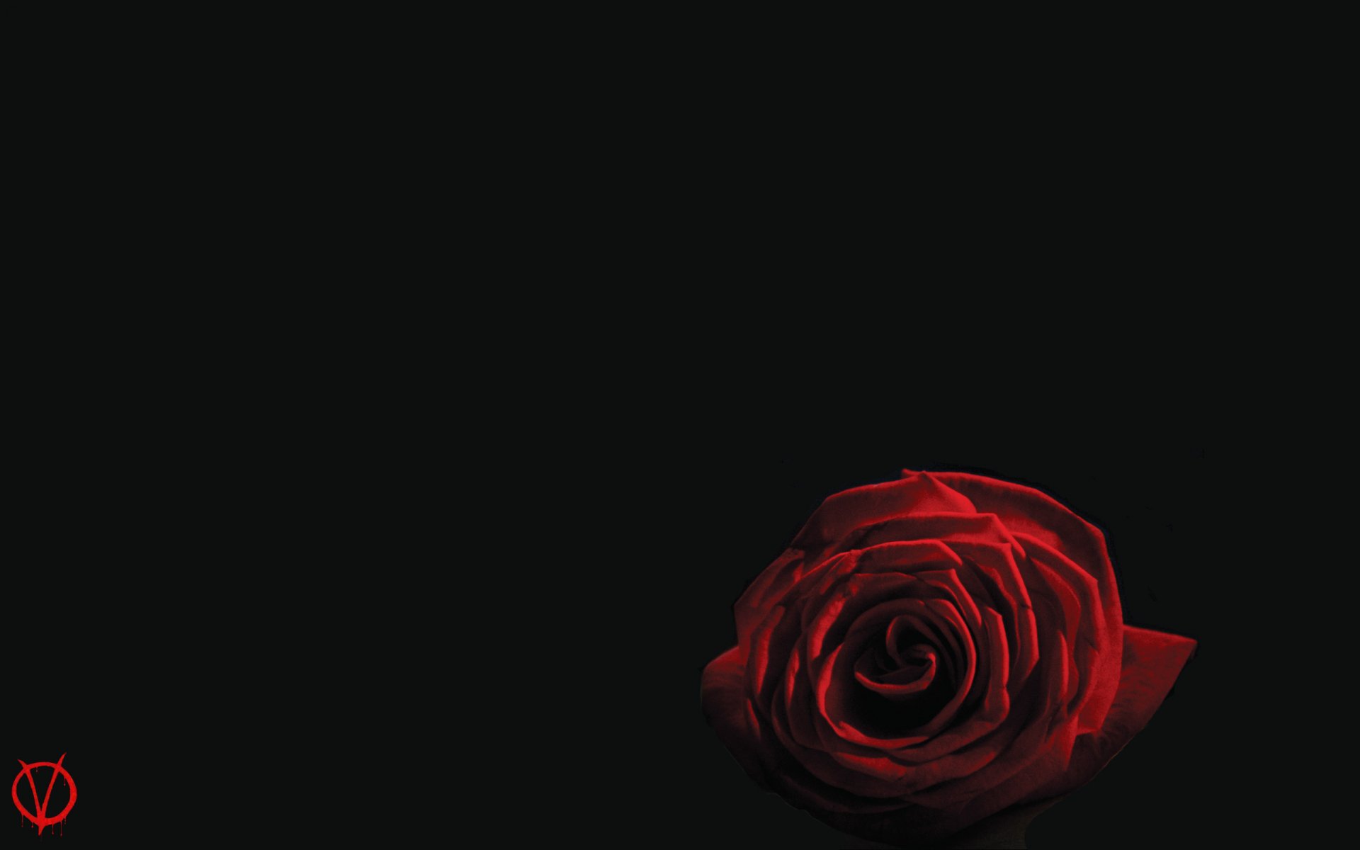 A striking HD desktop wallpaper featuring a vibrant red rose against a dark background, inspired by the movie V for Vendetta. The design evokes themes of rebellion and symbolism.