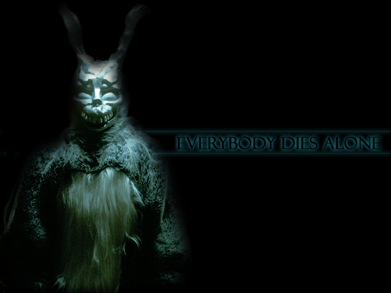 20+ Donnie Darko HD Wallpapers and Backgrounds