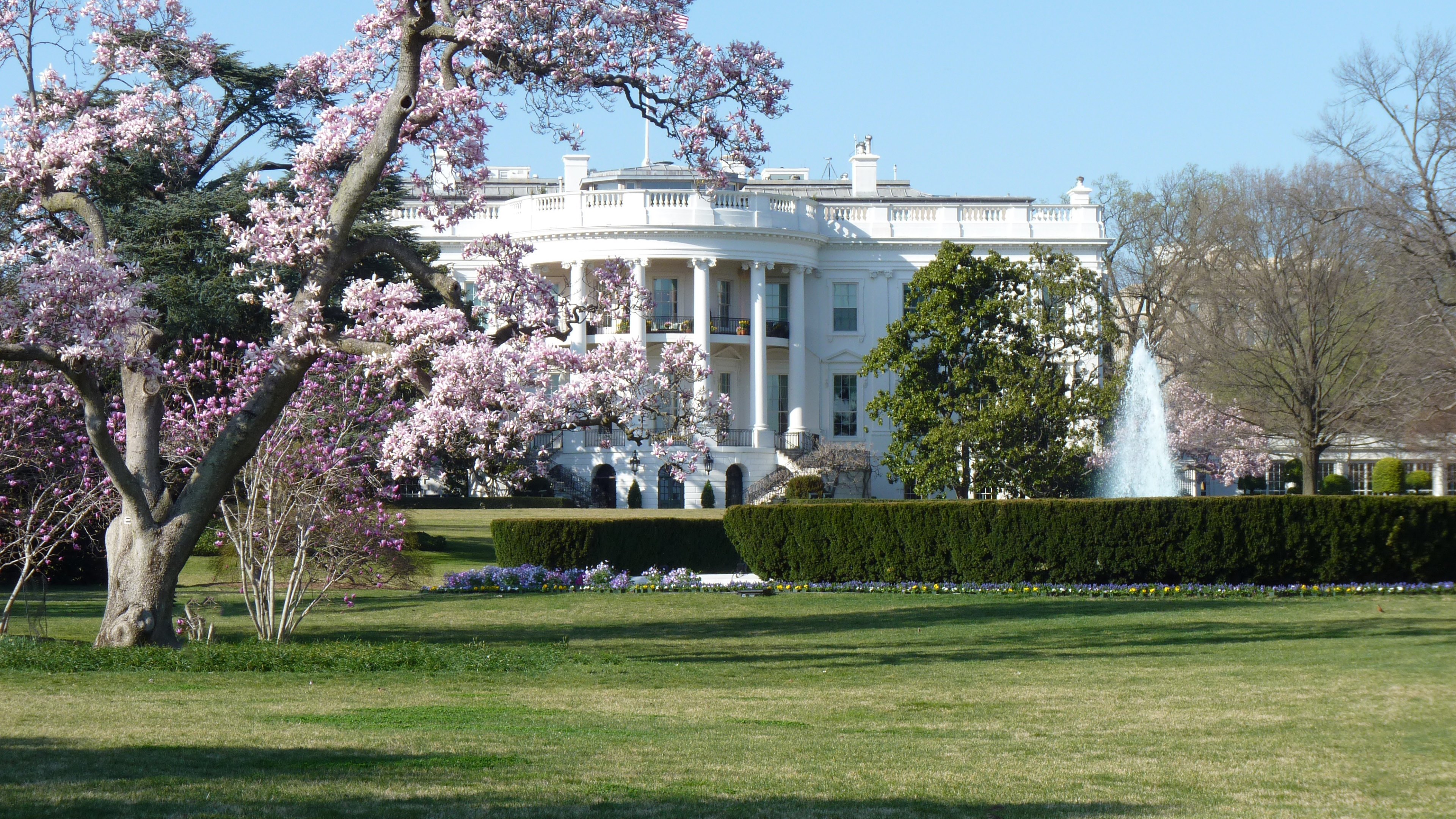 Man Made White House HD Wallpaper | Background Image