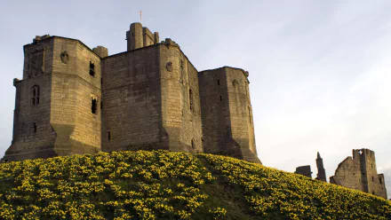 man made warkworth castle HD Desktop Wallpaper | Background Image
