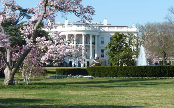 A vibrant view of the White House surrounded by blooming trees and lush greenery, showcasing the iconic architecture in a picturesque setting. 4K Ultra HD desktop wallpaper.