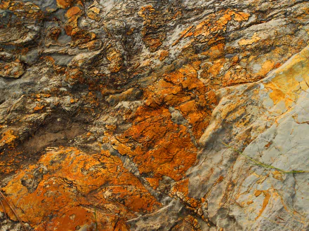 HD desktop wallpaper featuring a close-up of a textured rock surface with natural orange and gray hues, highlighting intricate details of nature.