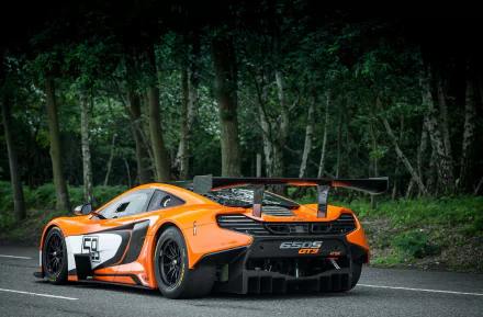 Orange McLaren 650S GT3 supercar, bright orange race vehicle parked on a forest-lined road, rear three-quarter view — HD desktop wallpaper/background.