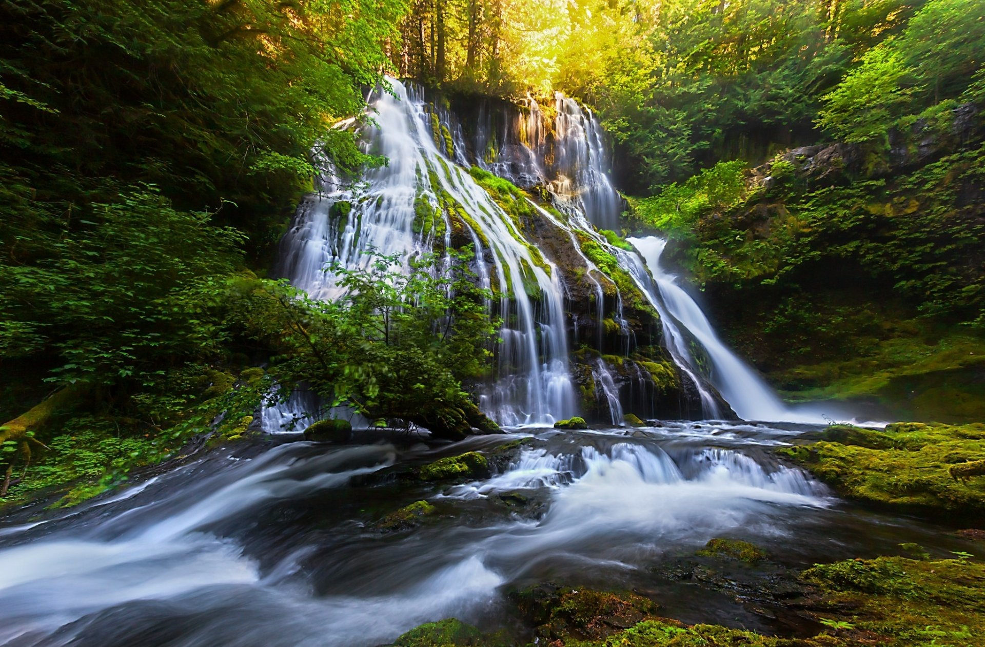 Download Forest Stream Nature Waterfall  HD Wallpaper