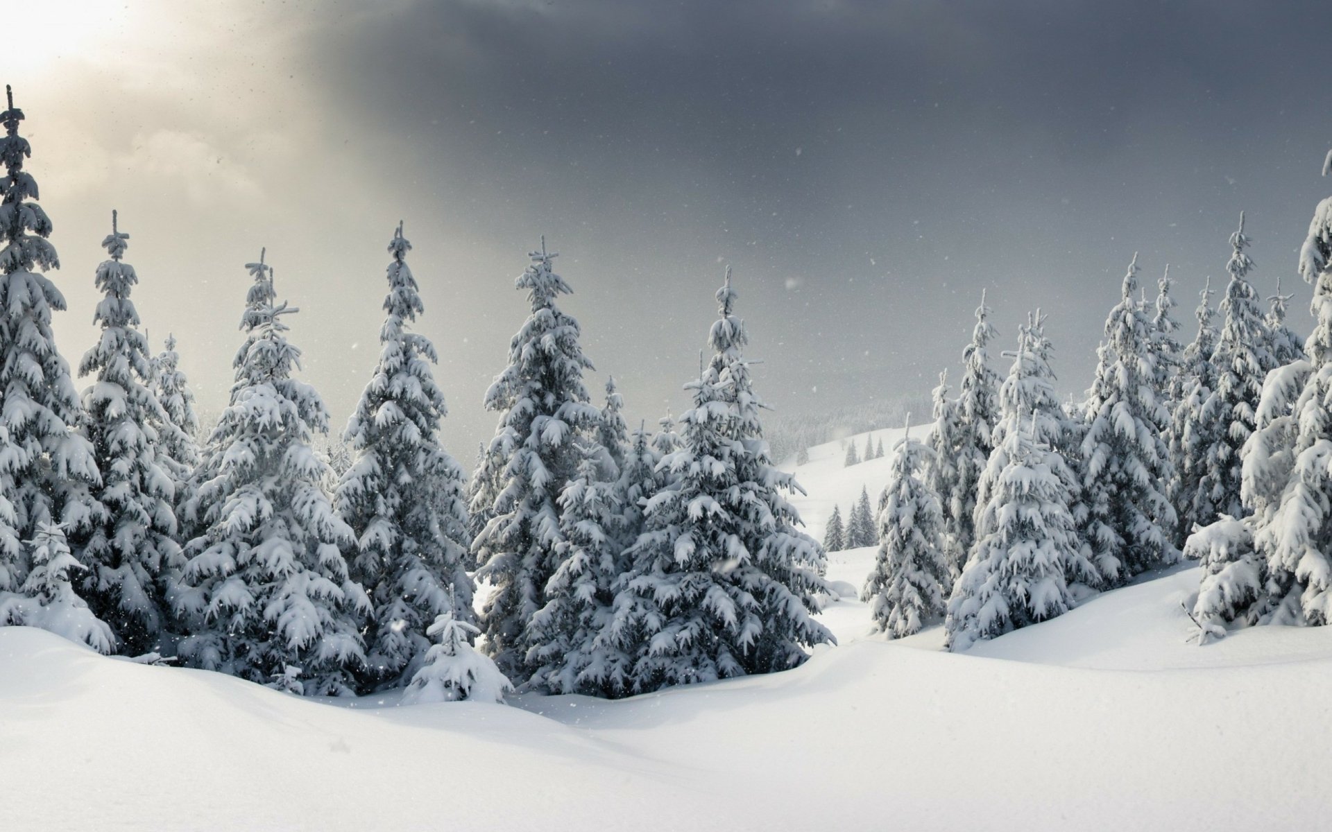 Winter HD Wallpaper