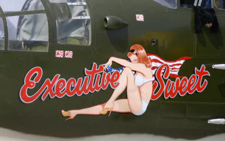 HD military aircraft nose art featuring a vintage pin-up girl with red hair and the words Executive Sweet painted on the plane's olive green exterior.