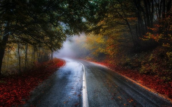 Man Made Road Fall HD Wallpaper | Background Image