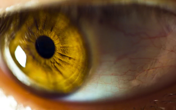 woman eye HD Desktop Wallpaper | Background Image