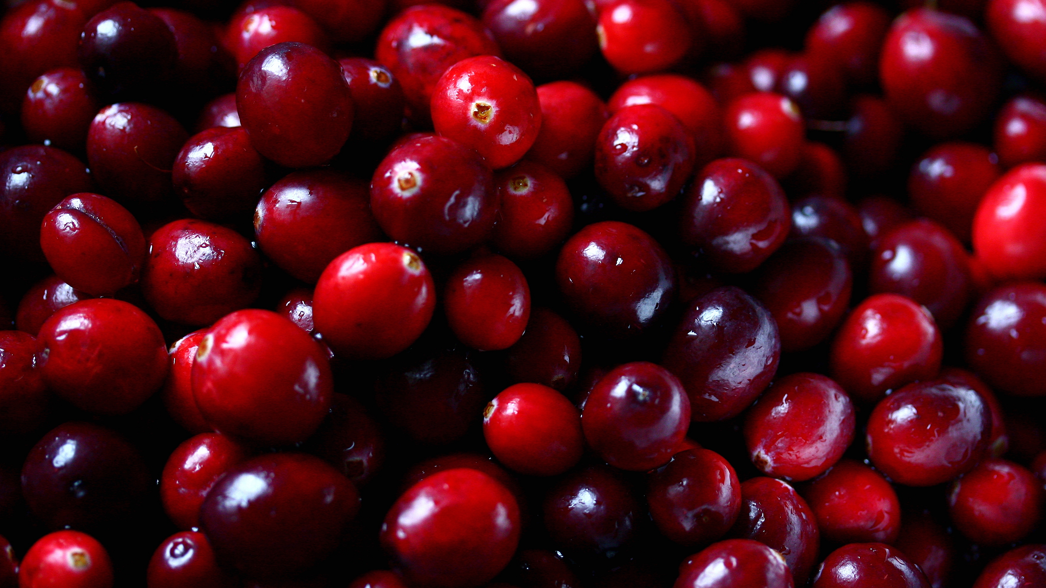 Food Cranberry HD Wallpaper | Background Image