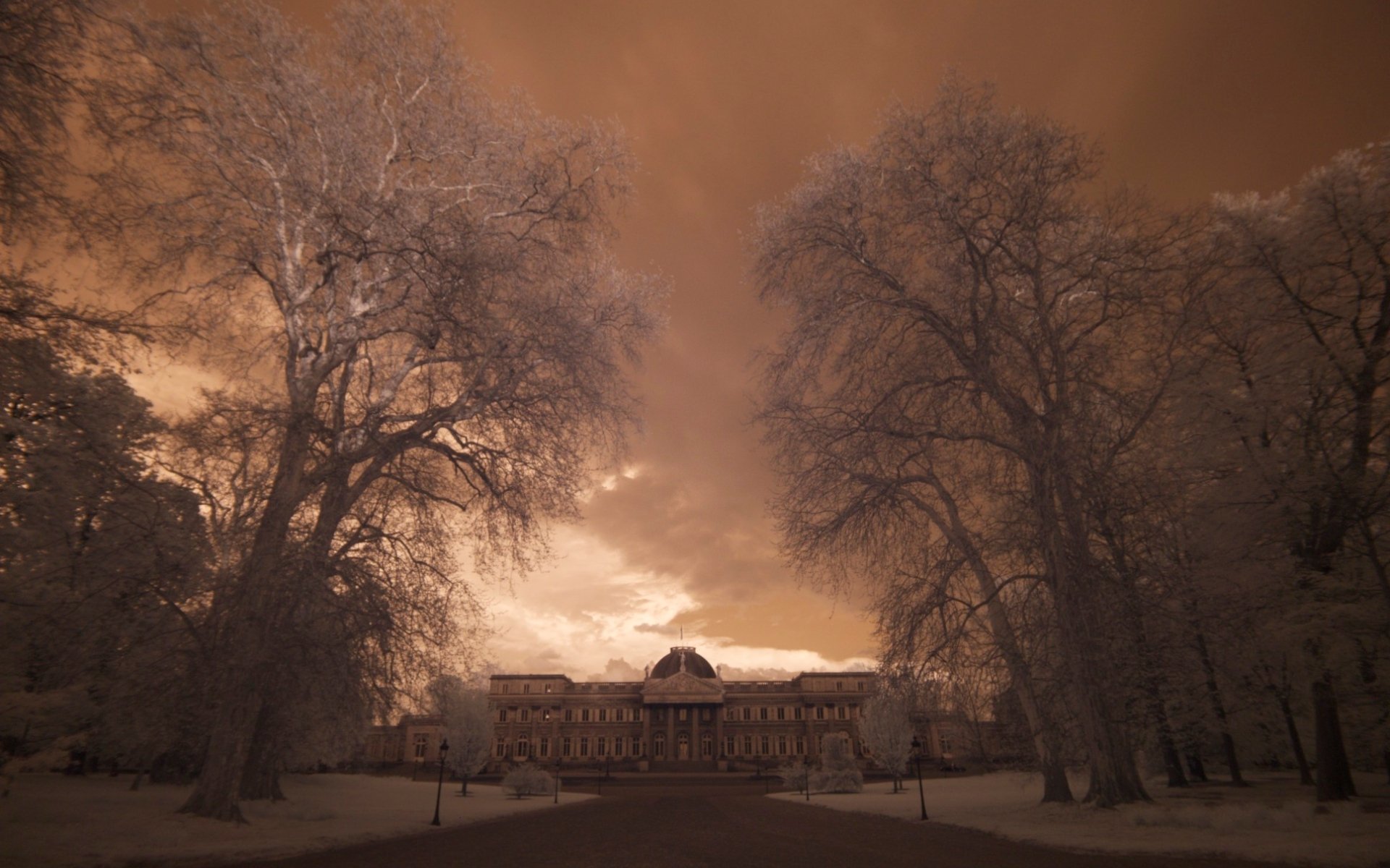 HD desktop wallpaper showcasing the Royal Palace of Brussels at dusk, framed by tall, leafless trees under a dramatic sky.