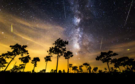 A stunning HD wallpaper featuring the Milky Way, surrounded by a silhouette of trees under a night sky adorned with shooting stars, creating a captivating sci-fi atmosphere.