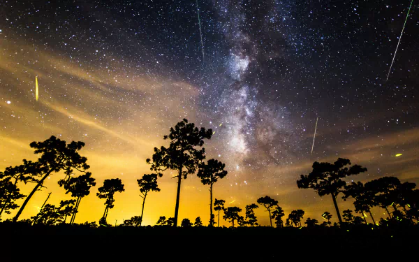 A stunning HD wallpaper featuring the Milky Way, surrounded by a silhouette of trees under a night sky adorned with shooting stars, creating a captivating sci-fi atmosphere.