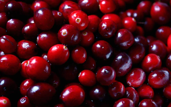 food cranberry HD Desktop Wallpaper | Background Image