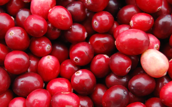 food cranberry HD Desktop Wallpaper | Background Image